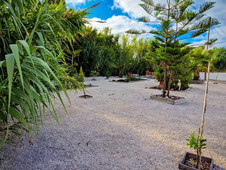 La Casa De Lylou Location De Bungalows Лавуш Екстер'єр фото